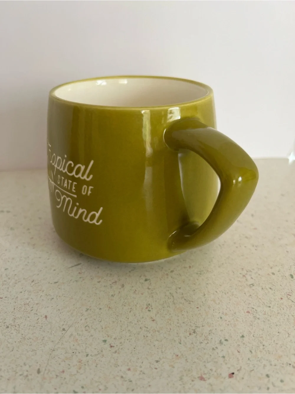 Place & Time “ Tropical State Of Mind” Palm Leaf Green 16oz Ceramic Coffee Mug